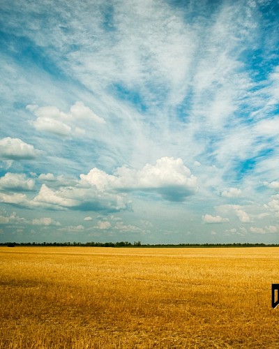 Bridging Religious Divides: Building Genocide Resistance